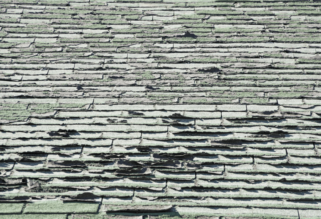 shingles buckling or curling