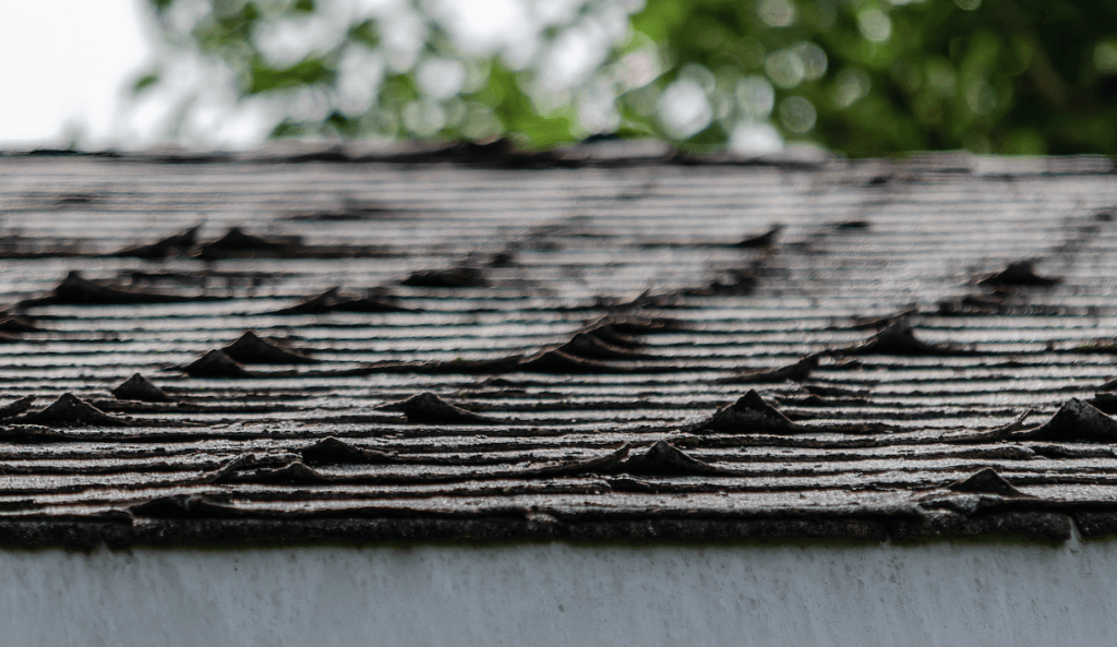 shingles buckling or curling