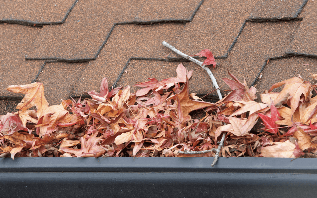 The Importance Of Cleaning Your Gutters
