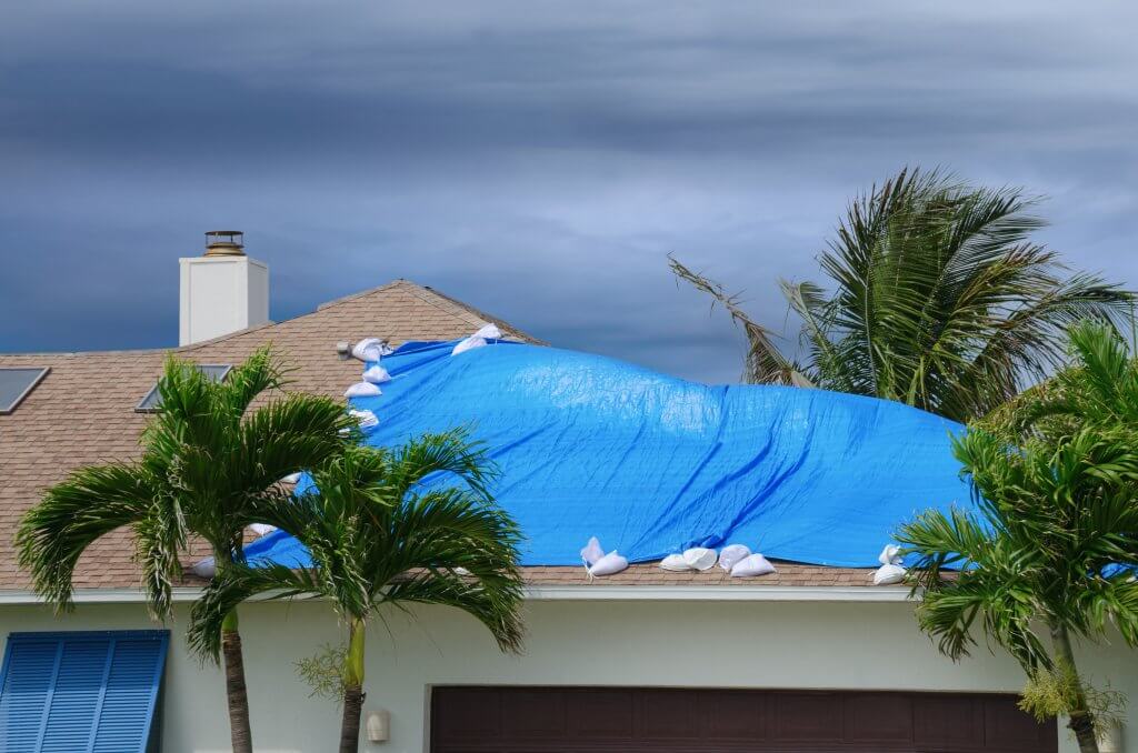 Photo of roof with blue tarp covering roof damage 