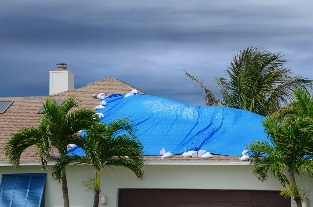Photo of roof with blue tarp covering roof damage 