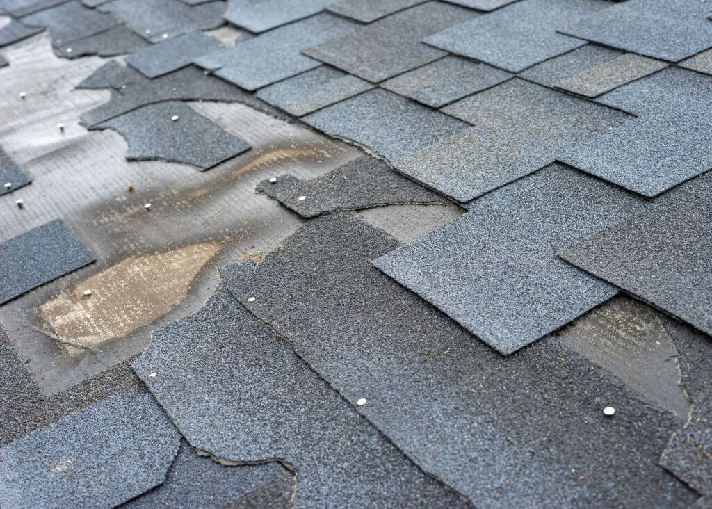 Photos of Shingles that need to be repaired 