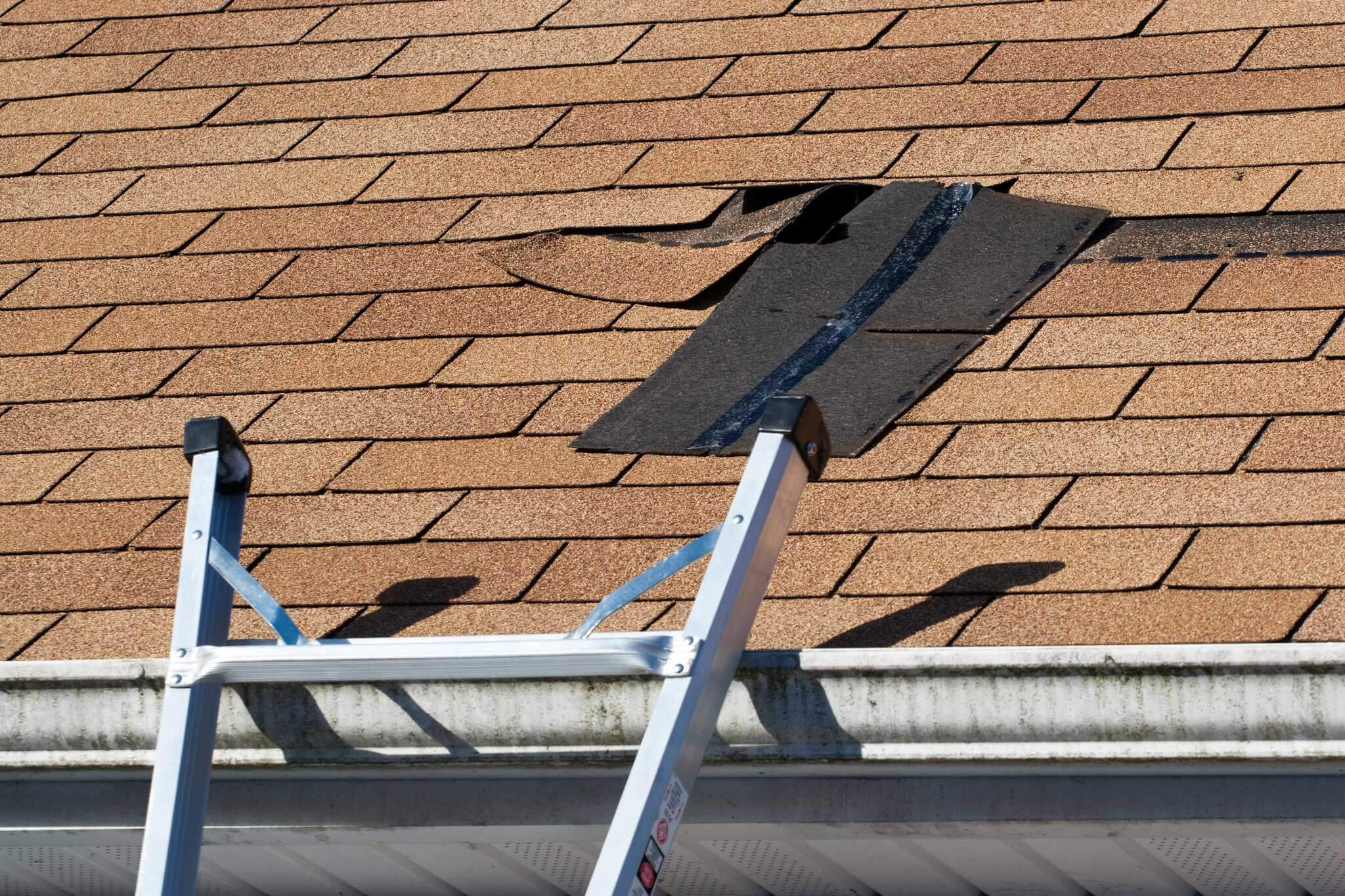 ladder leaning against roof with damaged shingles