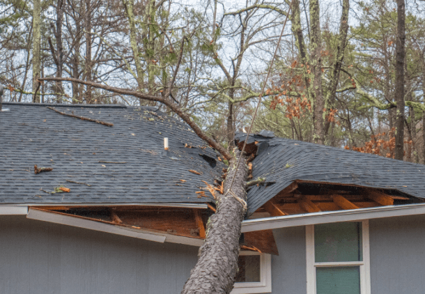 roof wind storm damage